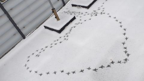 Ein Herz aus Vogelspuren im Schnee