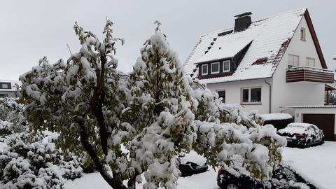 Eingeschneites Haus und Baum in Vollmarshausen