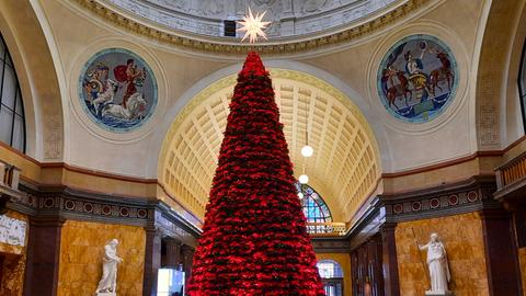 Das Bild zeigt einen Weihnachtsbaum der aus zahlreichen roten Weihnachtssternen besteht. Er steht auf einem Platz inmitten eine Gewölbegangs des Wiesbadener Kurhauses. Eingerahmt wird er von Fresken und Bogengängen.