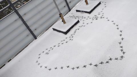 "Ich füttere die Vögel auf meinem Balkon regelmäßig. Mit so einer Danksagung hätte ich nie gerechnet :-)" schreibt uns hessenschau.de-Nutzer Markus aus Rüsselsheim zu seinem Schnappschuss vom gefiederten Liebesgruß. 