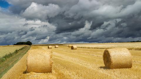 "Im Moment brauchen die Landwirte etwas Glück, das Getreide trocken nach Hause zu bekommen", schreibt uns hessenschau.de-Nutzer Frank Giess aus Grebenau zu seinem Foto.