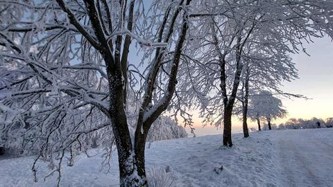 "Schnee auf dem Hoherodskopf" - eingefangen von hessenschau.de-Nutzerin Ursula Kernbach.