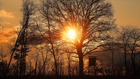 "Traumhafter Sonnenuntergang bei kalten Temperaturen im Schwälmer Land." Das Foto hat uns hessenschau.de-Nutzer Jörg Döringer aus Schwalmstadt geschickt.