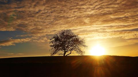 Traumhafter Sonnenuntergang - im Schwälmer Land fotografiert. Das Foto hat uns hessenschau.de-Nutzer Jörg Döringer aus Schwalmstadt geschickt.