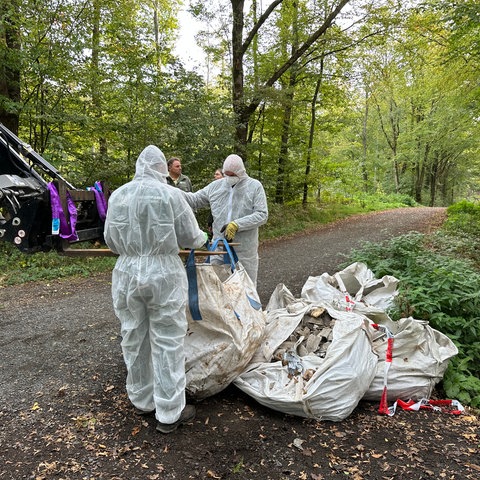 Müll im Habichtswald entsorgt