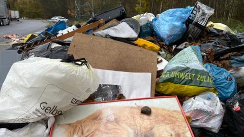 Riesige Haufen von Müll und vollgestopften Plastiktüten liegen auf einem Parkplatz.