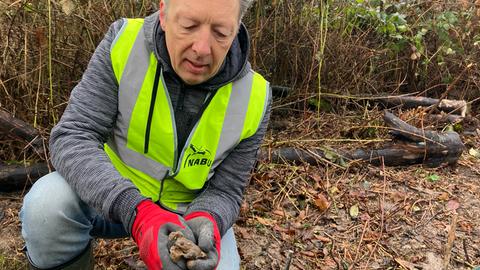 Frank Uwe Pfuhl vom Naturschutzbund (Nabu), kurzes graues Haar, er kniet auf dem Boden, trägt eine Warnweste und hält in den Händen, an denen er Handschuhe trägt, eine Kröte