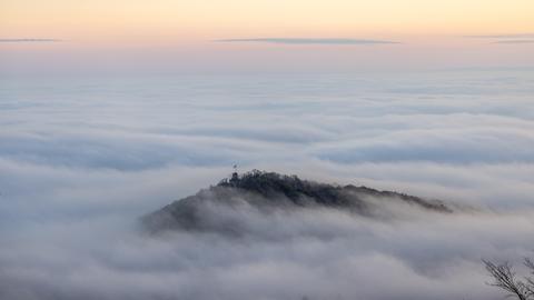 Die Burg Falkenstein ragt bei Sonnenuntergang aus der Nebeldecke