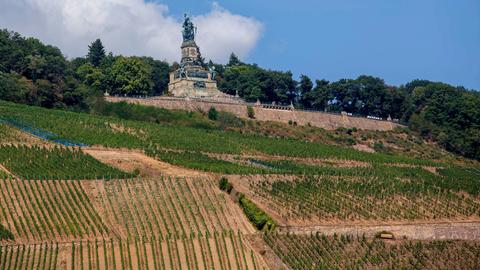 Niederwalddenkmal am Hang mit Weinanbau