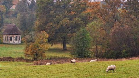 Herbst im Vogelsberg