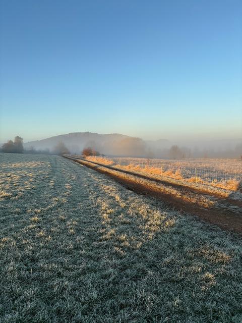 Nebel und Raufreif auf Acker in Marbeck bei Korbach