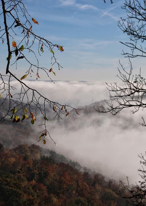 Nebel über Waldeck und dem Edersee 