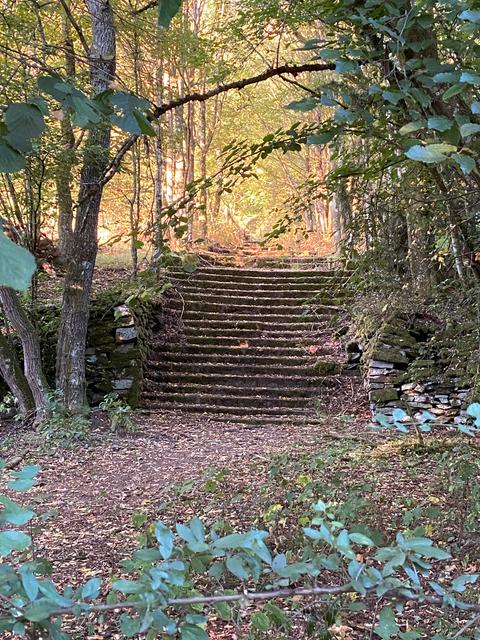 Treppenstufen am Wispertalsteig im Naturpark Rhein-Taunus