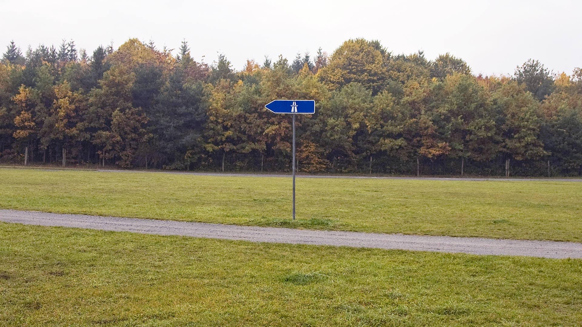 Fallen-f-r-Busparkplatz-am-Waldstadion-in-Frankfurt-noch-mehr-B-ume-