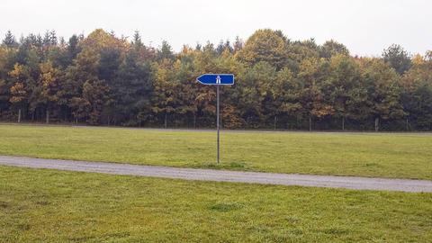 Ein blaues Autobahnschild steht auf einer weitläufigen Grasfläche, durch die ein Weg verläuft. Im Hintergrund grenzt ein Wald an.  