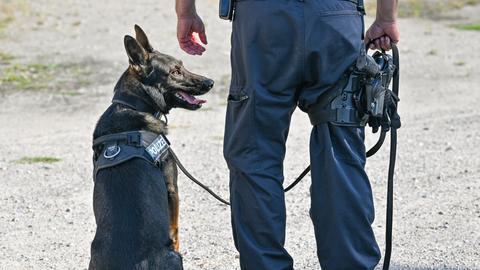 Polizeihund neben Polizist