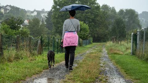 Spaziergang im Regen mit Hund