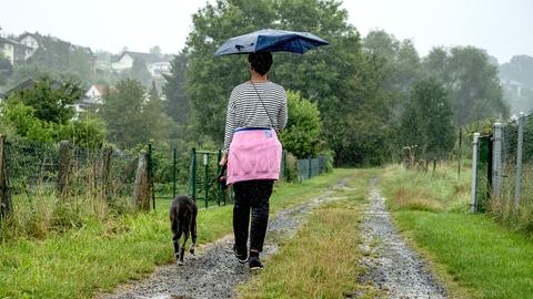 Spaziergang im Regen mit Hund