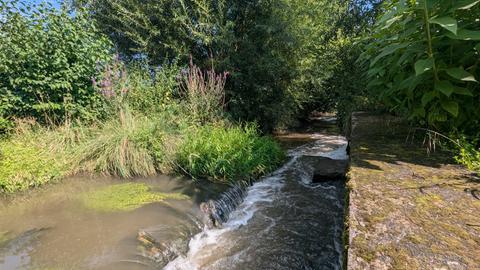 Ein größerer Bachlauf, umrandet von viel Gebüsch. Rechts eingefasst mit Stein. Links eine Stufe im Bachlauf, die einen kleinen "Wasserfall" ergibt.