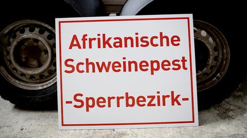 Foto: Ein Warnschild mit der Aufschrift "Sperrbezirk -Afrikanische Schweinepest" steht auf dem Boden vor zwei großen Rädern.