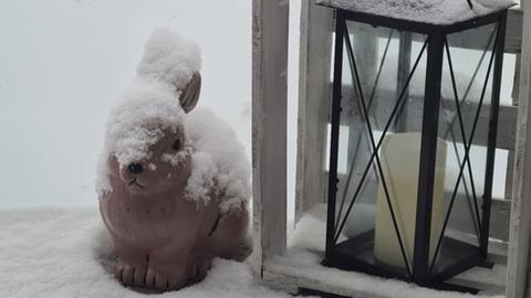 "Kein Hasenwetter", schreibt hessenschau.de-Nutzer Andreas Klingenhöfer aus Butzbach (Wetterau) zu diesem Bild.