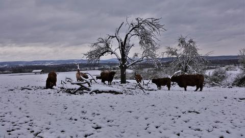 "Winter in Gründau", schreibt hessenschau.de-Nutzer Günther Appich zu dieser Momentaufnahme.