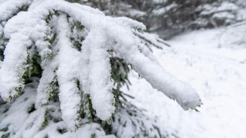 Schnee am Großen Feldberg im Taunus.