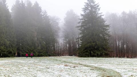 Schnee am Großen Feldberg im Taunus.