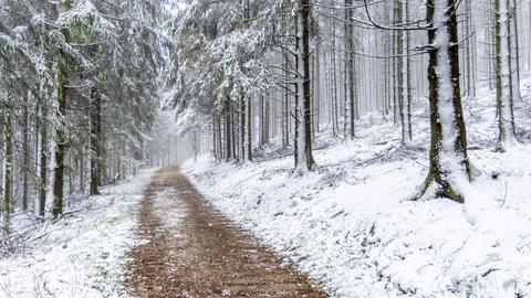 Schnee am Großen Feldberg im Taunus.