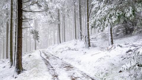 Schnee am Großen Feldberg im Taunus.