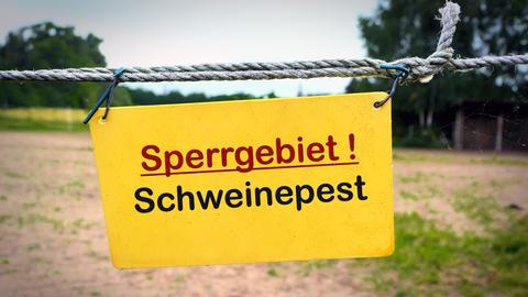 Auf einem Schild steht: Sperrgebiet Schweinepest