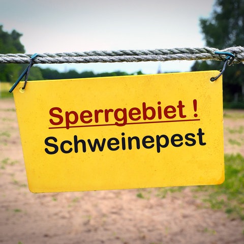 Auf einem Schild steht: Schweinepest-Sperrgebiet