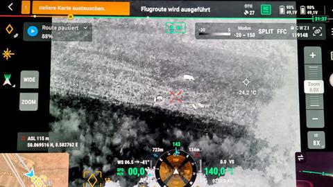Wärmebild-Luftaufnahme zeigt Wildschweine in Feld