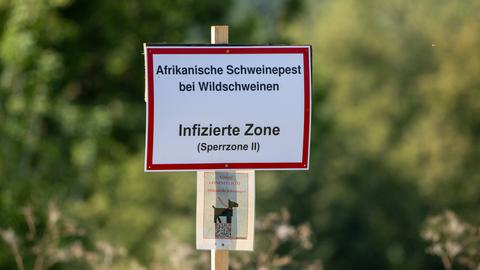 Warnschild mit Aufschrift "Infizierte Zone (Sperrzone II)"