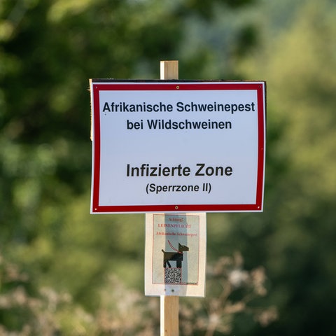 Warnschild mit Aufschrift "Infizierte Zone (Sperrzone II)"