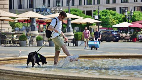 Ein Mann ist mit seinem Hund bei der Hitze in der Stadt in den Brunnen vor der alten Oper in Frankfurt gestiegen und kühlt sich ab.