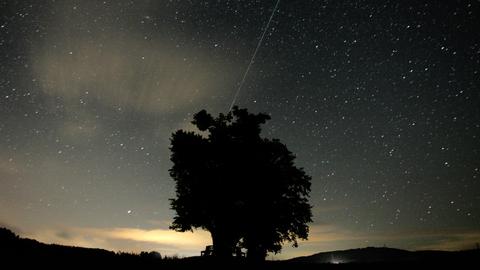 Eine Sternschnuppe zieht am Himmel vorbei. 