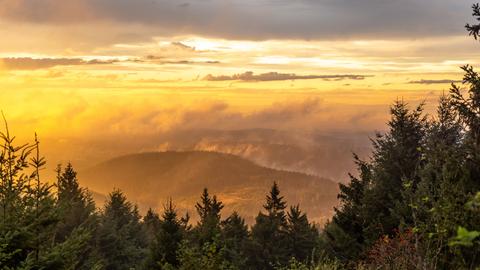 Nach Regenschauern scheint die untergehende Sonne durch Nebelschwaden am Großen Feldberg