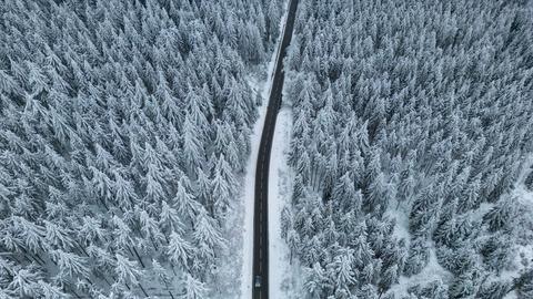 Landstraße zwischen schneebedeckten Bäumen im Taunus