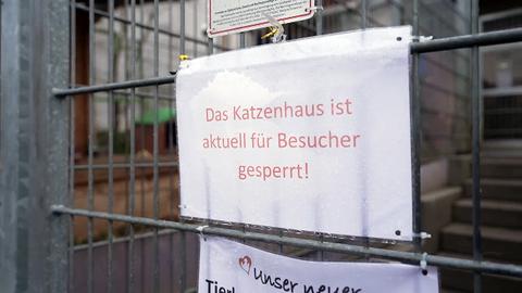 Ein Metallzaun mit einem angebrachten Schild. Auf dem steht in roter Schrift: "Das Katzenhaus ist aktuell für Besucher gesperrt!"