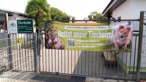 Ein Banner hängt an einem Gittertor: "Unterschreibe unsere innn.it-Petition - Rettet unser Tierheim". Daneben ein Schild "Tierheim".