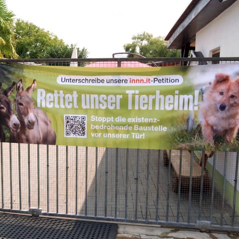 Ein Banner hängt an einem Gittertor: "Unterschreibe unsere innn.it-Petition - Rettet unser Tierheim". Daneben ein Schild "Tierheim".