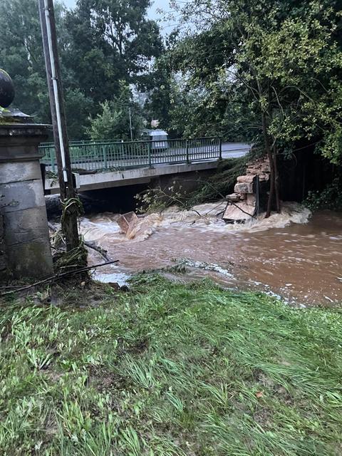 Unterspülte Steinbrücke im Tierpark Sababurg