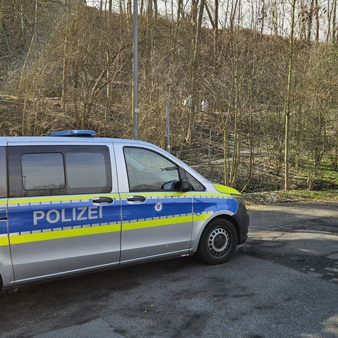 Ein Einsatzfahrzeug der Polizei steht auf einer Straße. Im Hintergrund sind Bäume und Sträucher zu sehen.