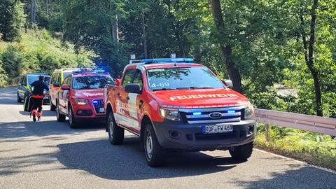 Mehrere Einsatzfahrzeuge stehen auf einer Landstraße.