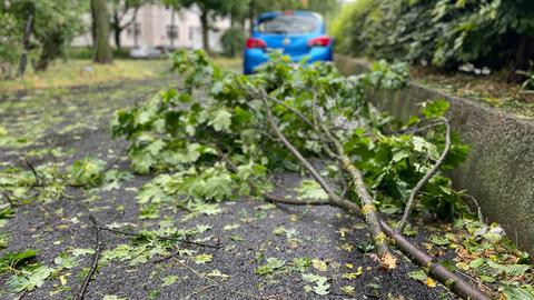 Abgebrochene Äste auf der Straße