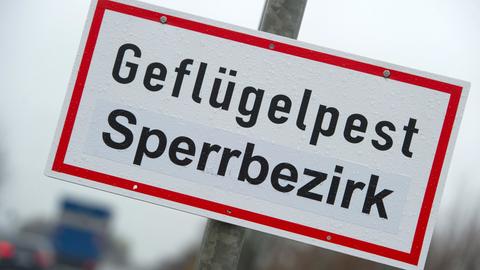 Schild mit der Aufschrift: Geflügelpest Sperrbezirk