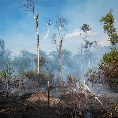 Ein Hubschrauber hilft beim Löschen des Waldbrands bei Raunheim