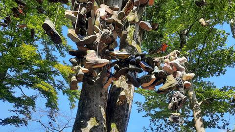 Wanderschuhe baumeln in einem Baum