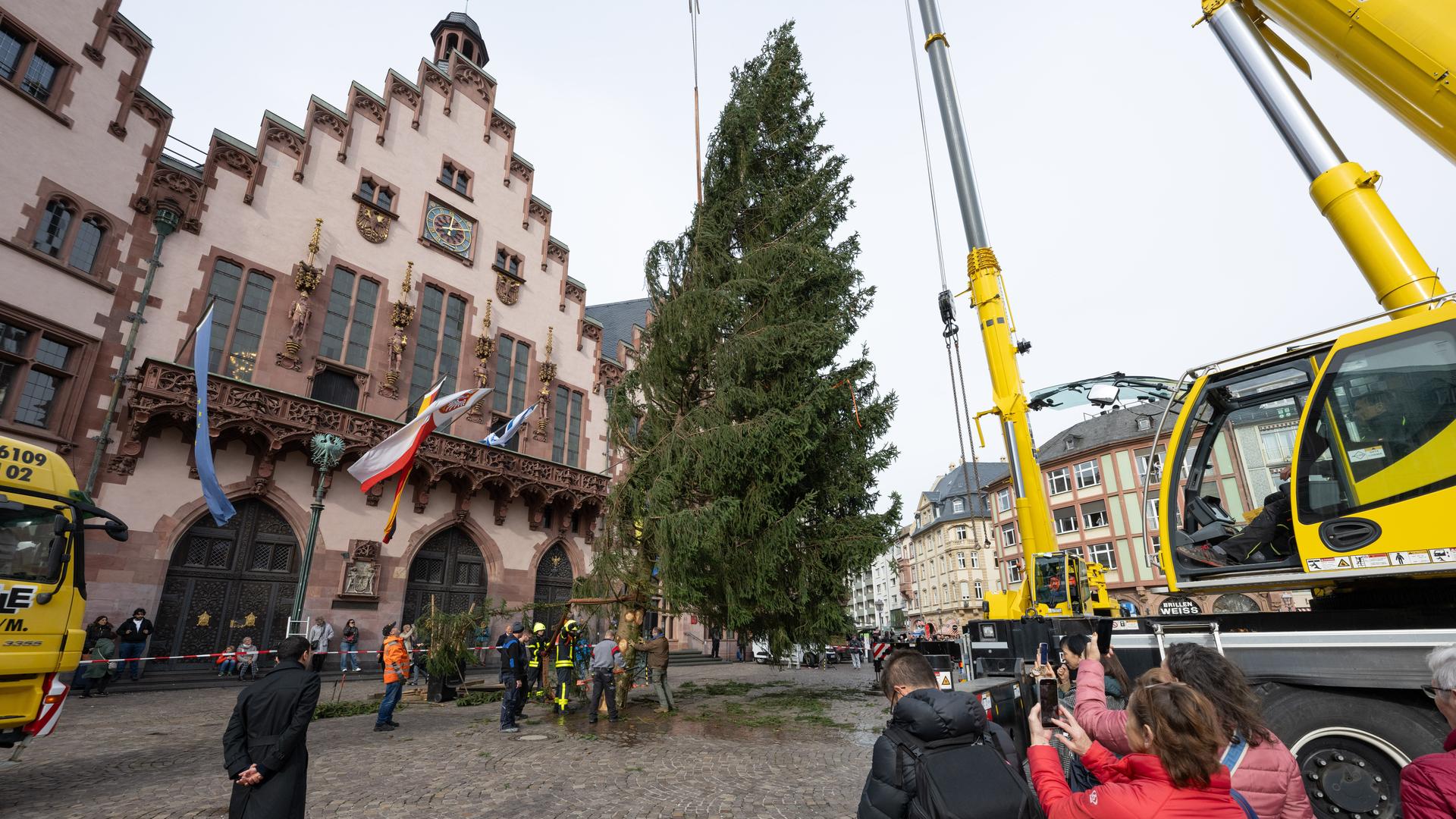 Frankfurter Weihnachtsbaum aufgestellt Audio hessenschau.de Panorama